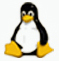 Linux Penguin