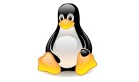 linux web hosting accounts
